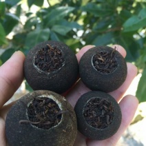 柑普茶特级