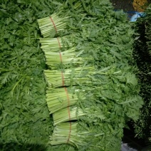 蒿子杆20~25cm