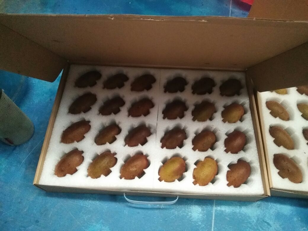 翠香猕猴桃礼盒包装展示