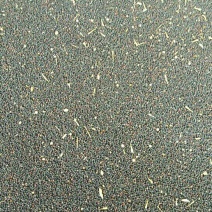 油菜籽2级
