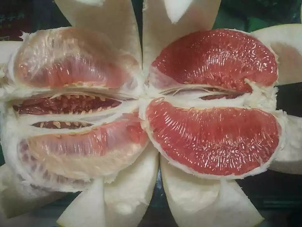 切开的汶朗蜜柚特写