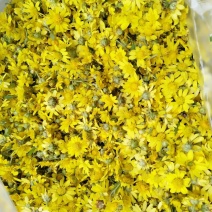 野菊花干菊花，散装