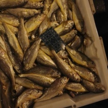 黄鱼食用