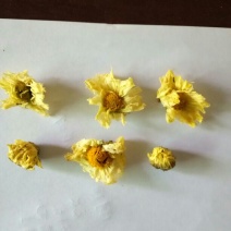 菊花茶一级
