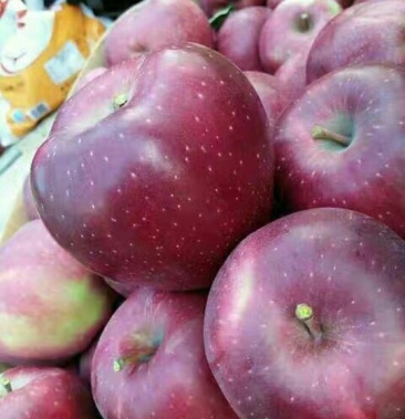 红星苹果 70mm以上 光果