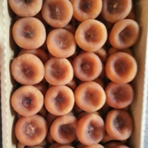 柿饼1~2两