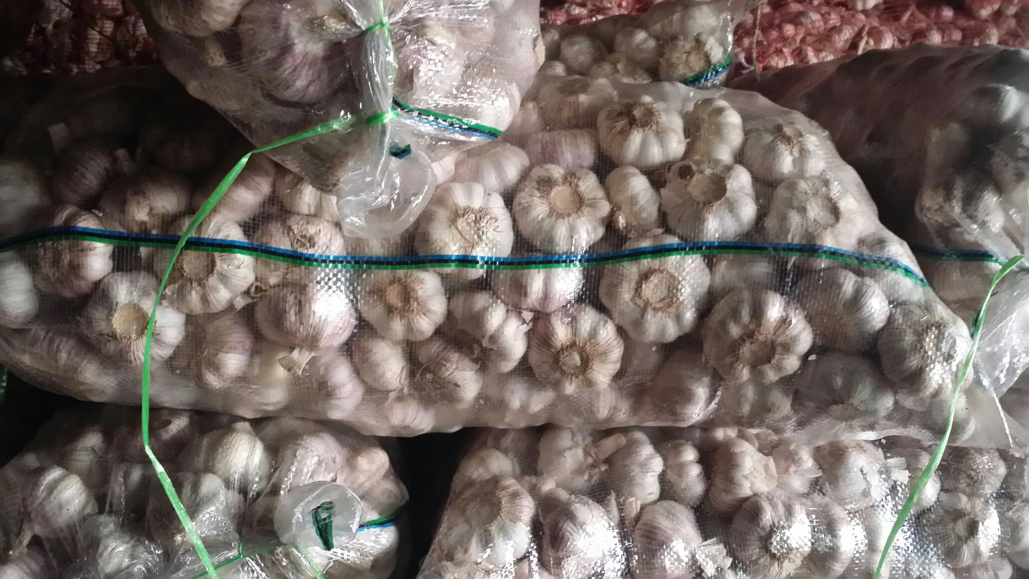云南鲁甸红蒜药材饮片成品图,展示符合《云南省中药饮片炮制规范》的切制规格、色泽特征与规范化包装标识,体现其作为正规药材的流通属性 鲁甸红蒜药材饮片标准化包装:透明PET罐装,内装均匀切制的紫红蒜片,片厚1.2±0.2mm,表面微泛油润光泽,罐身贴有“滇字号道地药材·鲁甸红蒜”蓝白标贴及SC生产许可编号