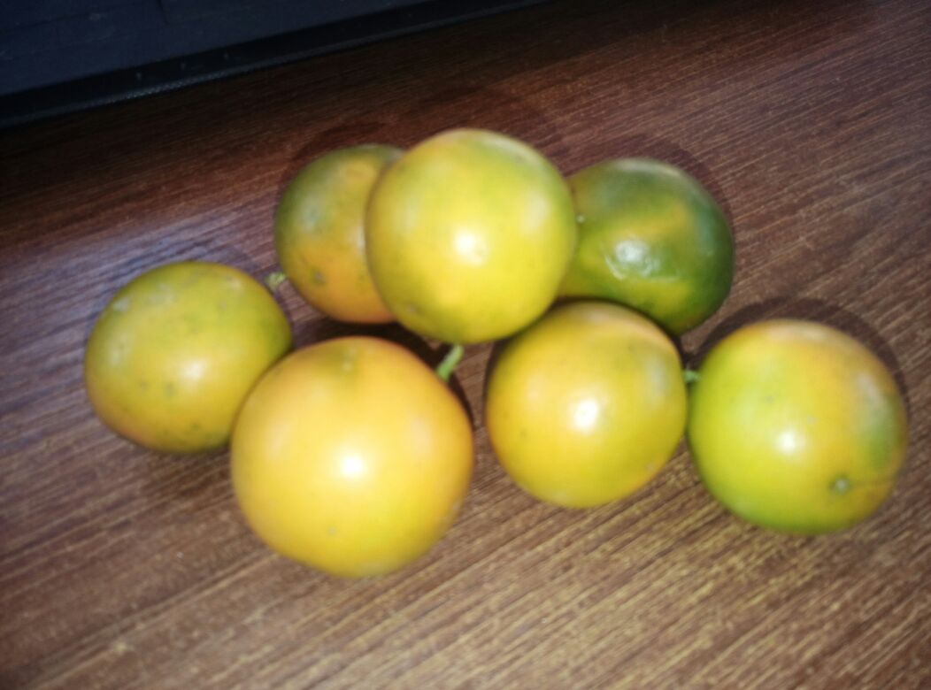 金桔与小青柠对比图