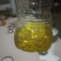 油菜籽1级