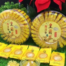 菊花茶特级