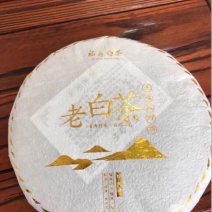 茶树油