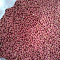红小豆散装