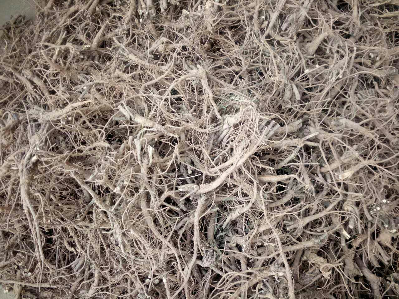 柴胡、葛根、升麻共有的功效解析:清热解表与升阳举陷的药食同源智慧 - 一亩田
