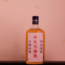 牛大力种苗15~30cm