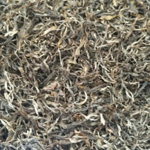 普洱茶一级