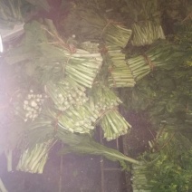 白菜苔20~30厘米
