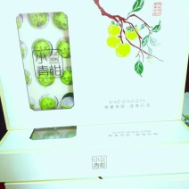 普洱茶一级