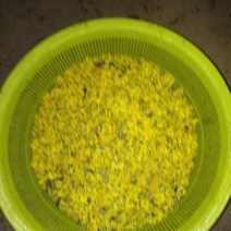 野菊花散装