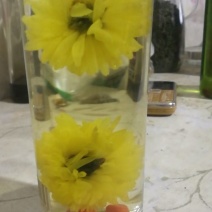 药用菊花散装