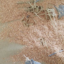 麦麸饲料