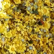野菊花散装
