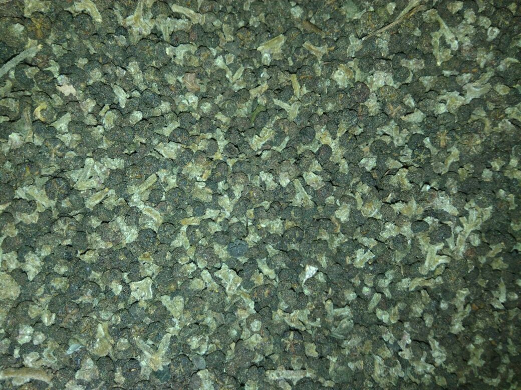 山茱萸药材与鲜枣的微观结构对比图