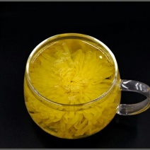 金丝皇菊茶