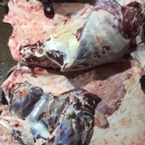 牛肉干水牛肉鲜肉