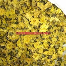 菊花茶特级