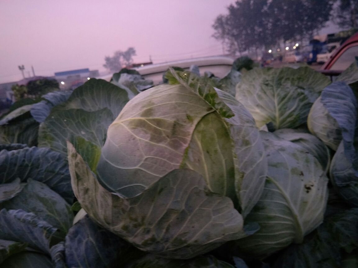 菜市场中的扁包菜摊位