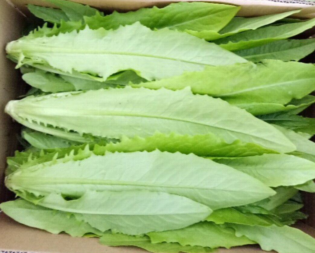 油麦菜沙拉制作图