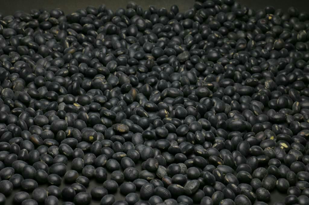 黑豆与大米混合图