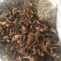 松蘑二级