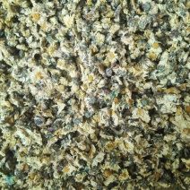 菊花茶一级