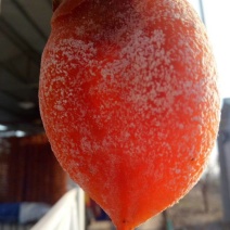 柿饼1~2两