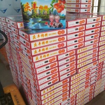 柿饼1~2两