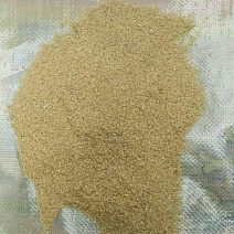 米糠小米糠