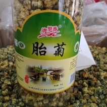 杭白菊罐装