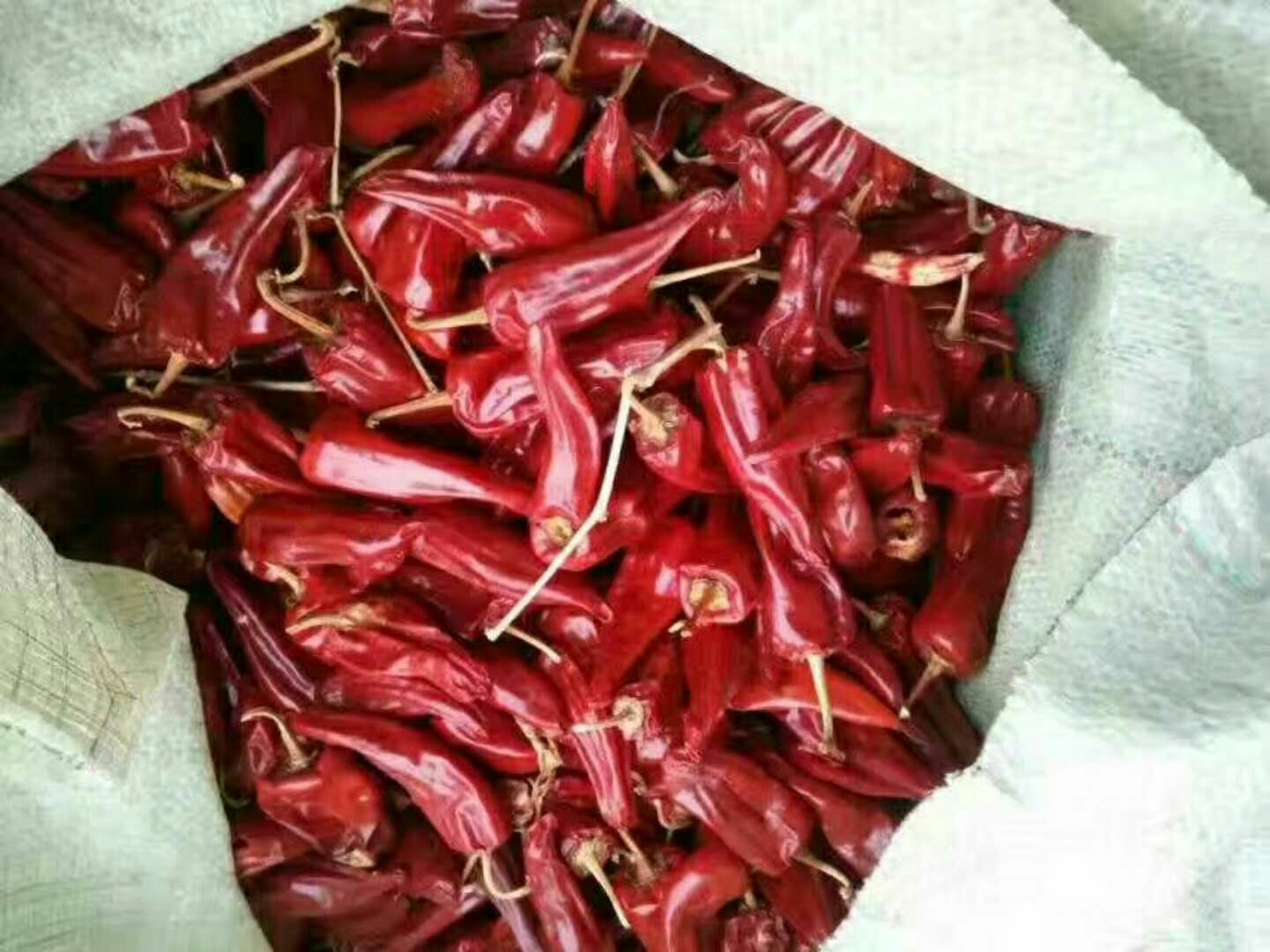 农家制作剁椒的原料准备场景,展示大量新鲜红辣椒,突出食材的新鲜与手工制作氛围 新鲜红辣椒堆放在竹筐中,背景为农家厨房,光线自然,辣椒颜色鲜红,部分已切碎