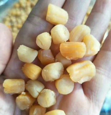 干贝食用鲜活3050只kg