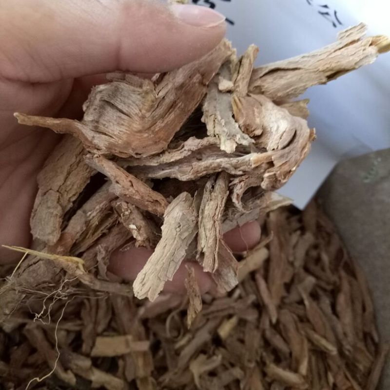 地骨皮