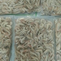 白米虾