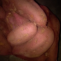 红薯淀粉散装