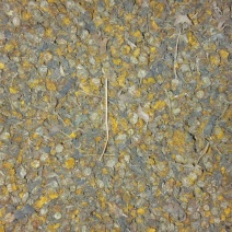野菊花散装