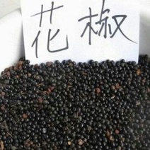 花椒种子