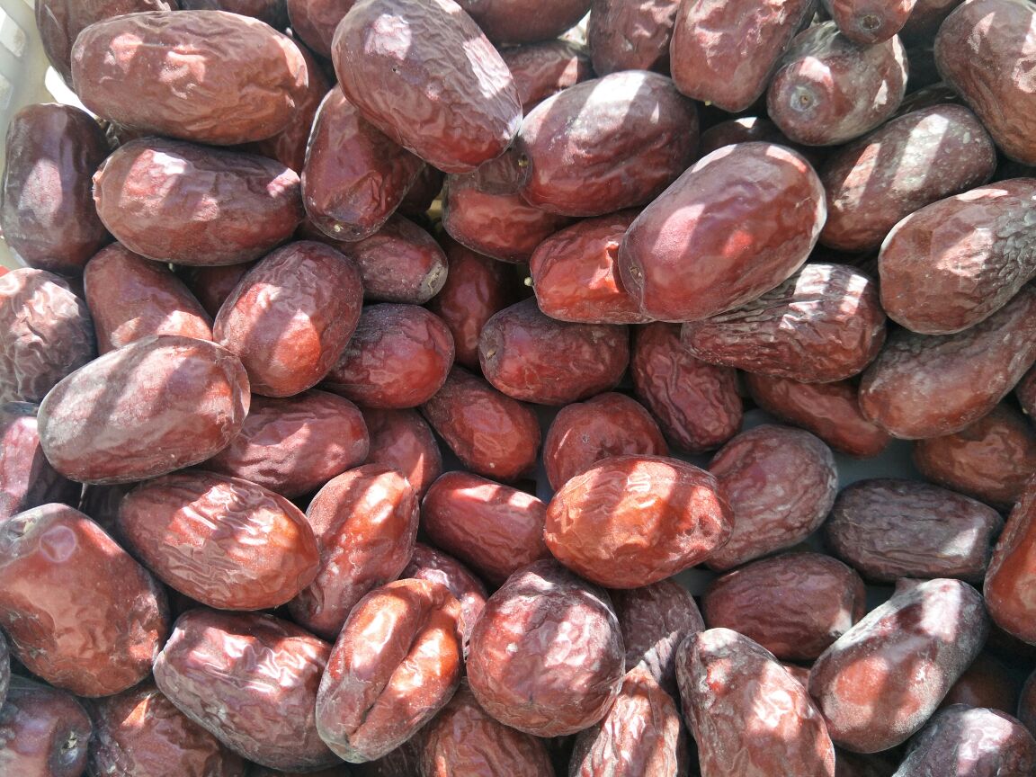 图中左侧为新鲜骏枣,右侧为干制后的红枣,展示两者在颜色、质地和形态上的差异 新鲜骏枣与干制红枣对比图