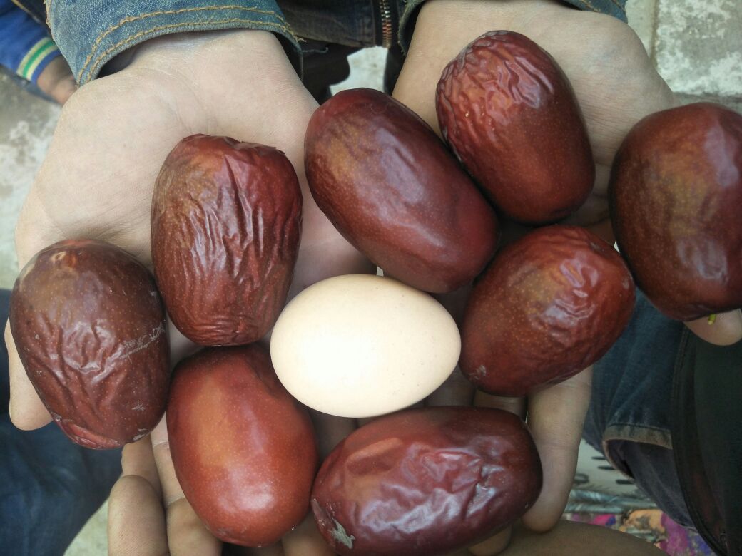 红枣鸡蛋经典食养组合摆盘图