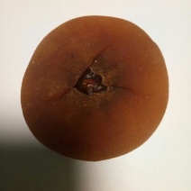 柿饼1~2两