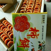 柿饼1~2两
