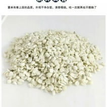 薏米散装